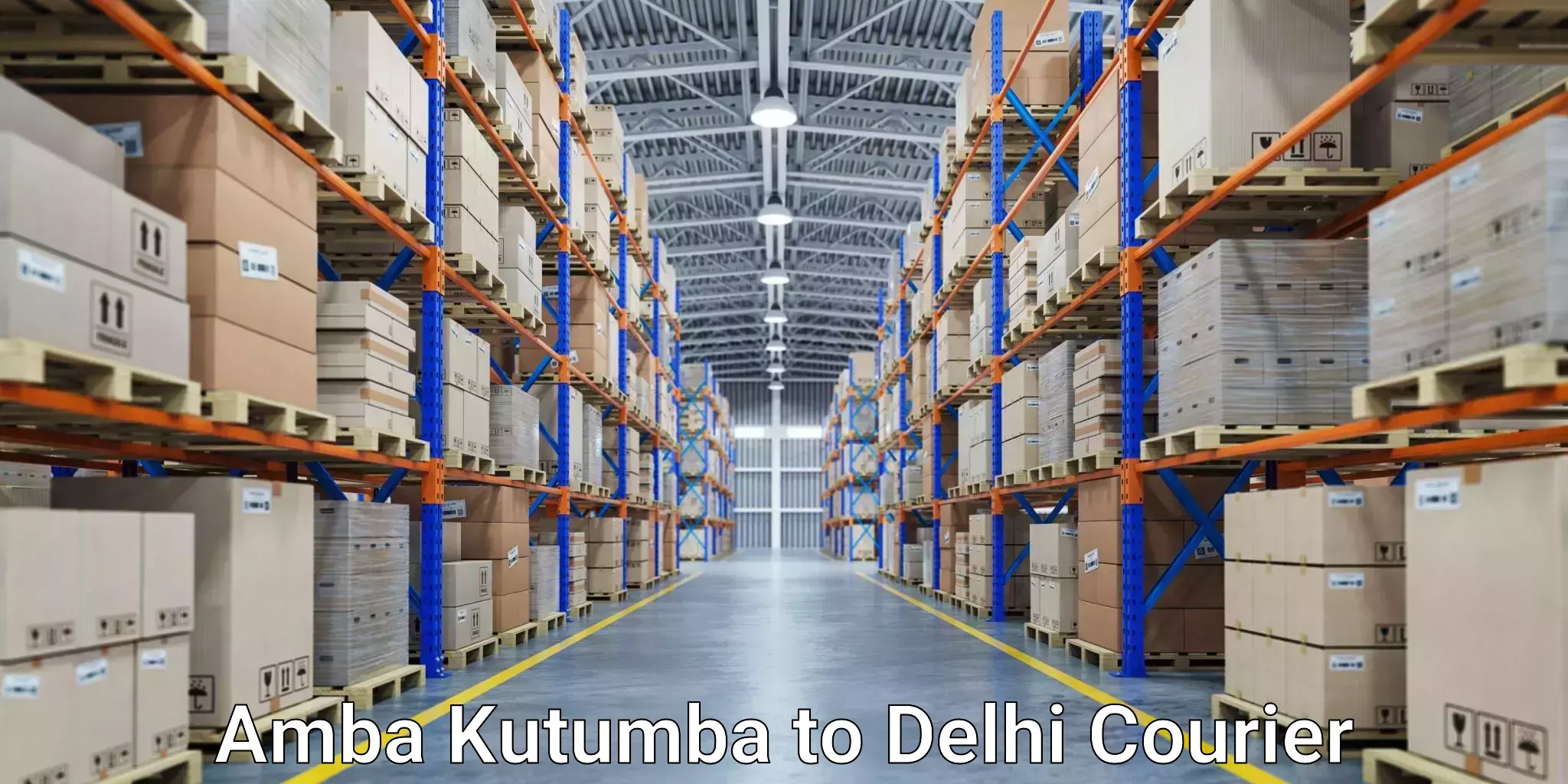 Courier service comparison in Amba Kutumba to Jawaharlal Nehru University New Delhi