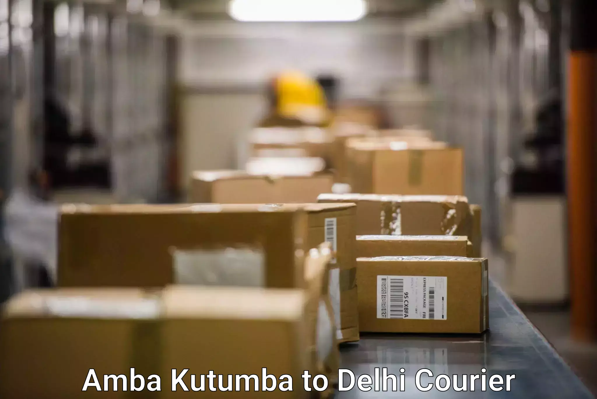 Next-day delivery options Amba Kutumba to Delhi