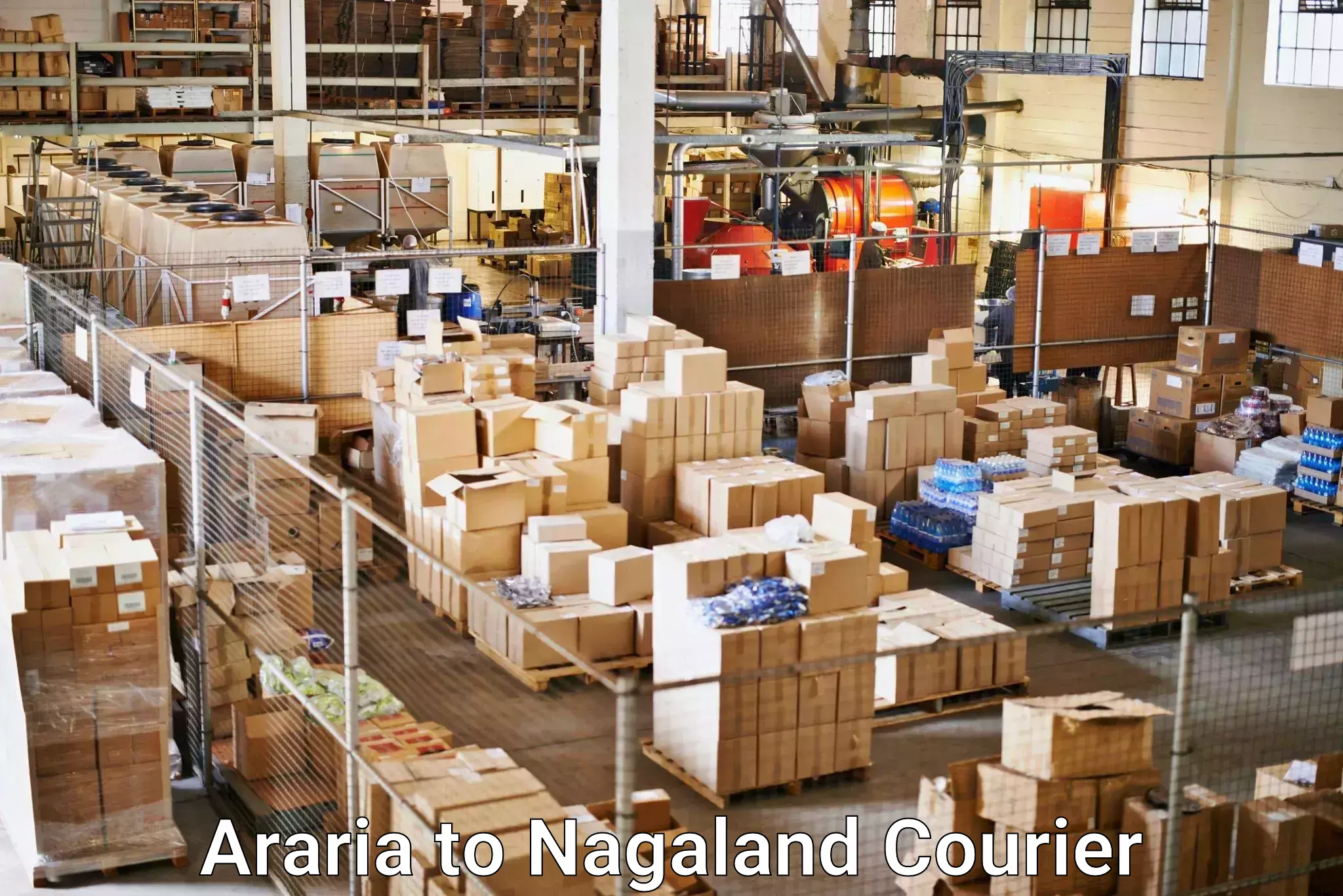 Fragile item shipping Araria to Nagaland