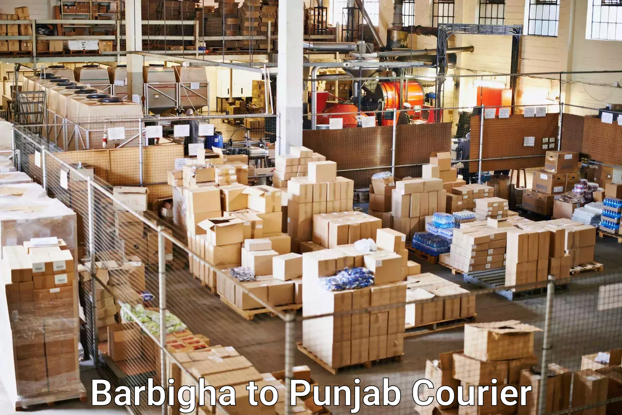 Express courier capabilities in Barbigha to Punjab