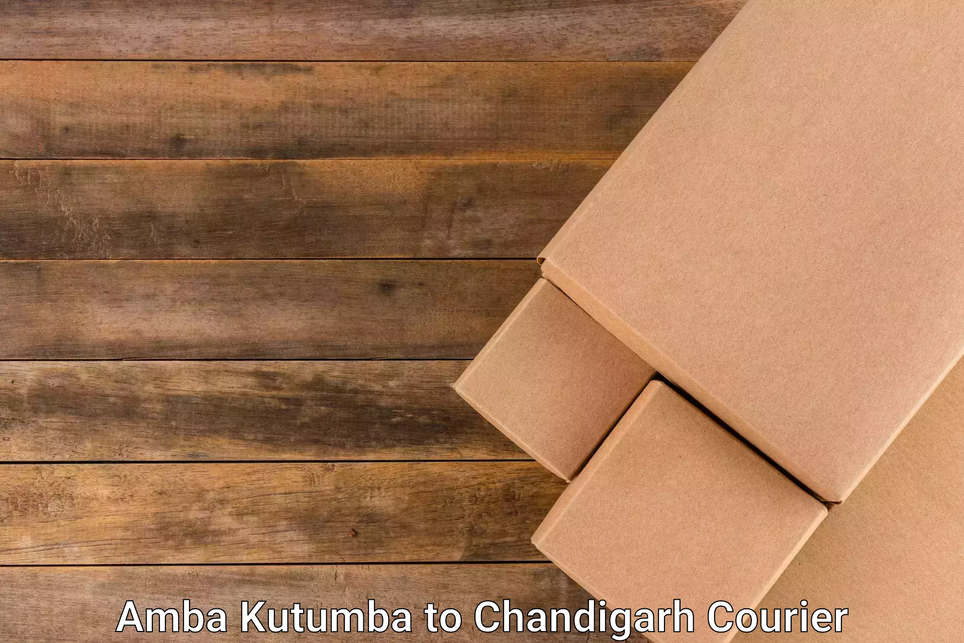 Full-service courier options Amba Kutumba to Panjab University Chandigarh