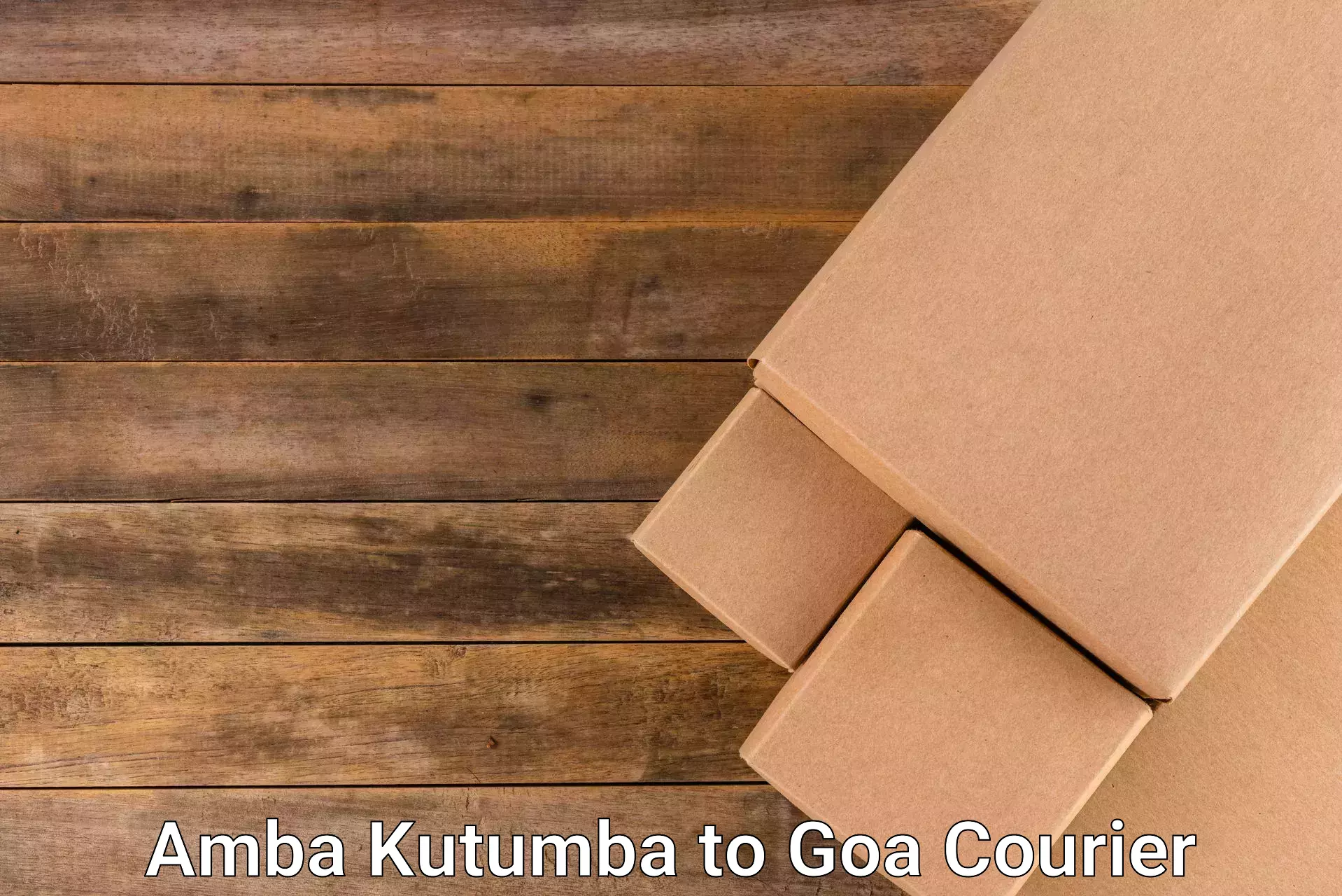 Quick parcel dispatch Amba Kutumba to Goa University