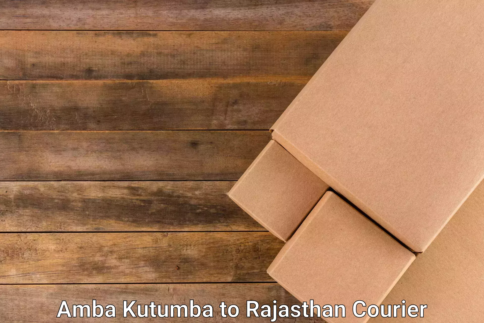 Business delivery service in Amba Kutumba to Rajasthan