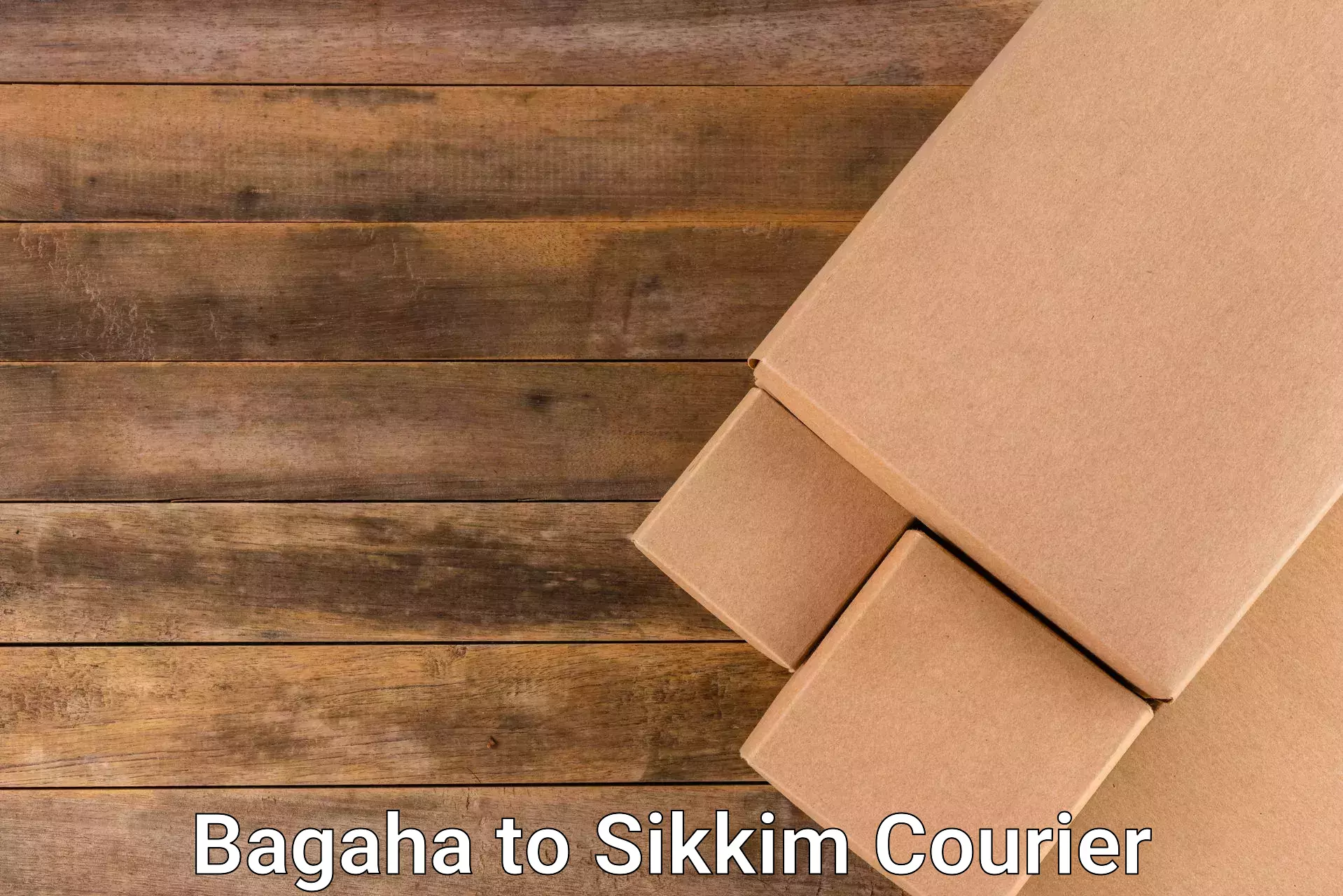 Courier insurance Bagaha to Sikkim