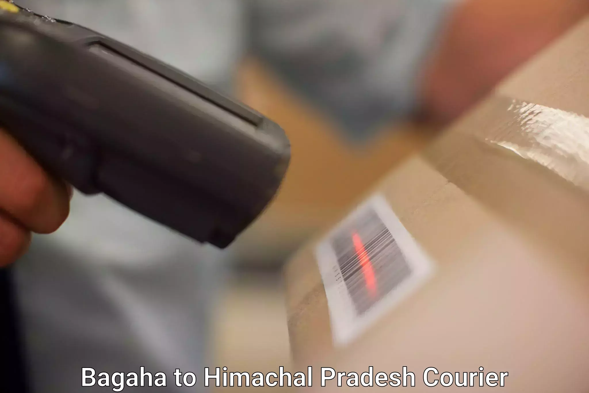 Subscription-based courier Bagaha to Ghumarwin