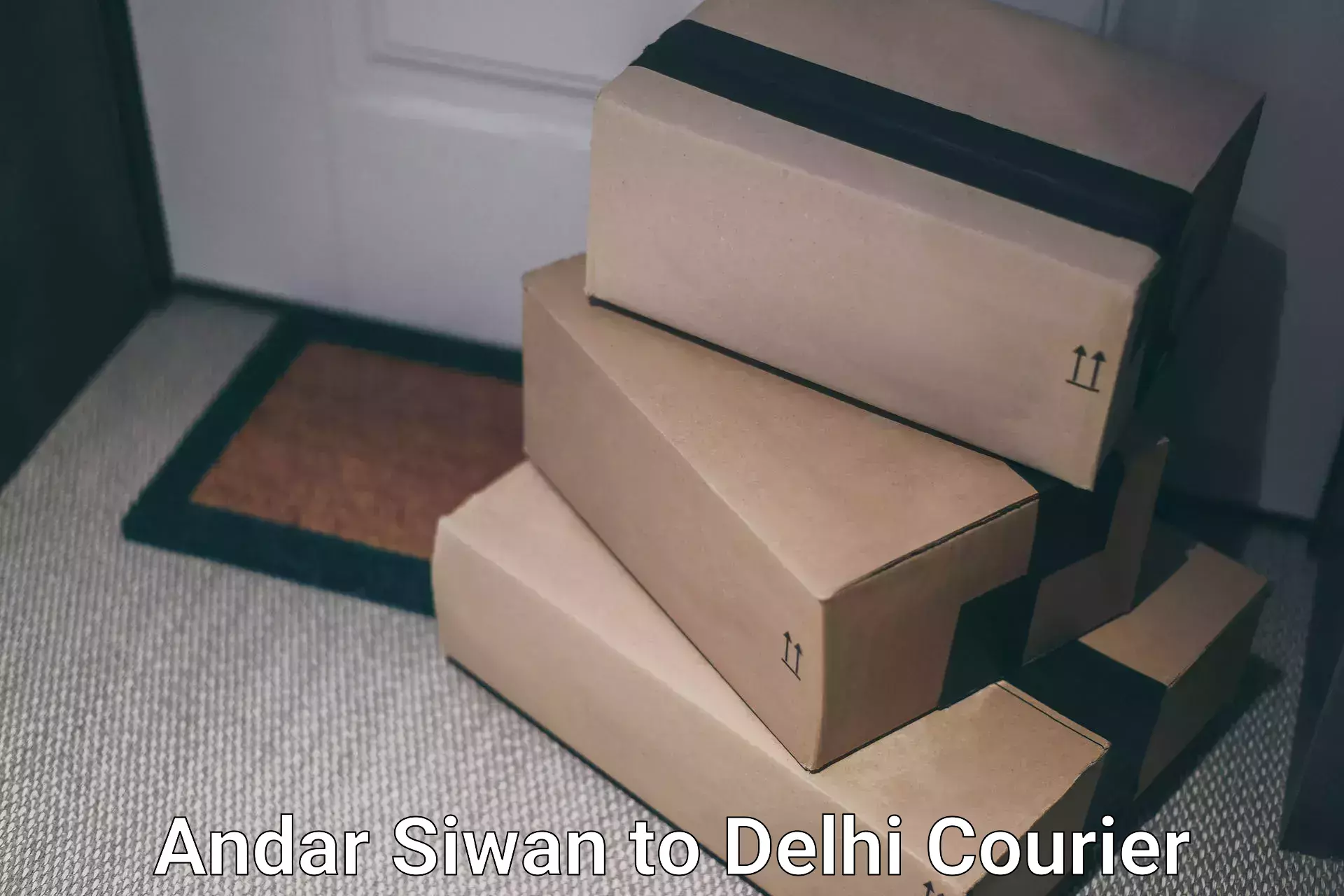 Reliable courier service Andar Siwan to Delhi
