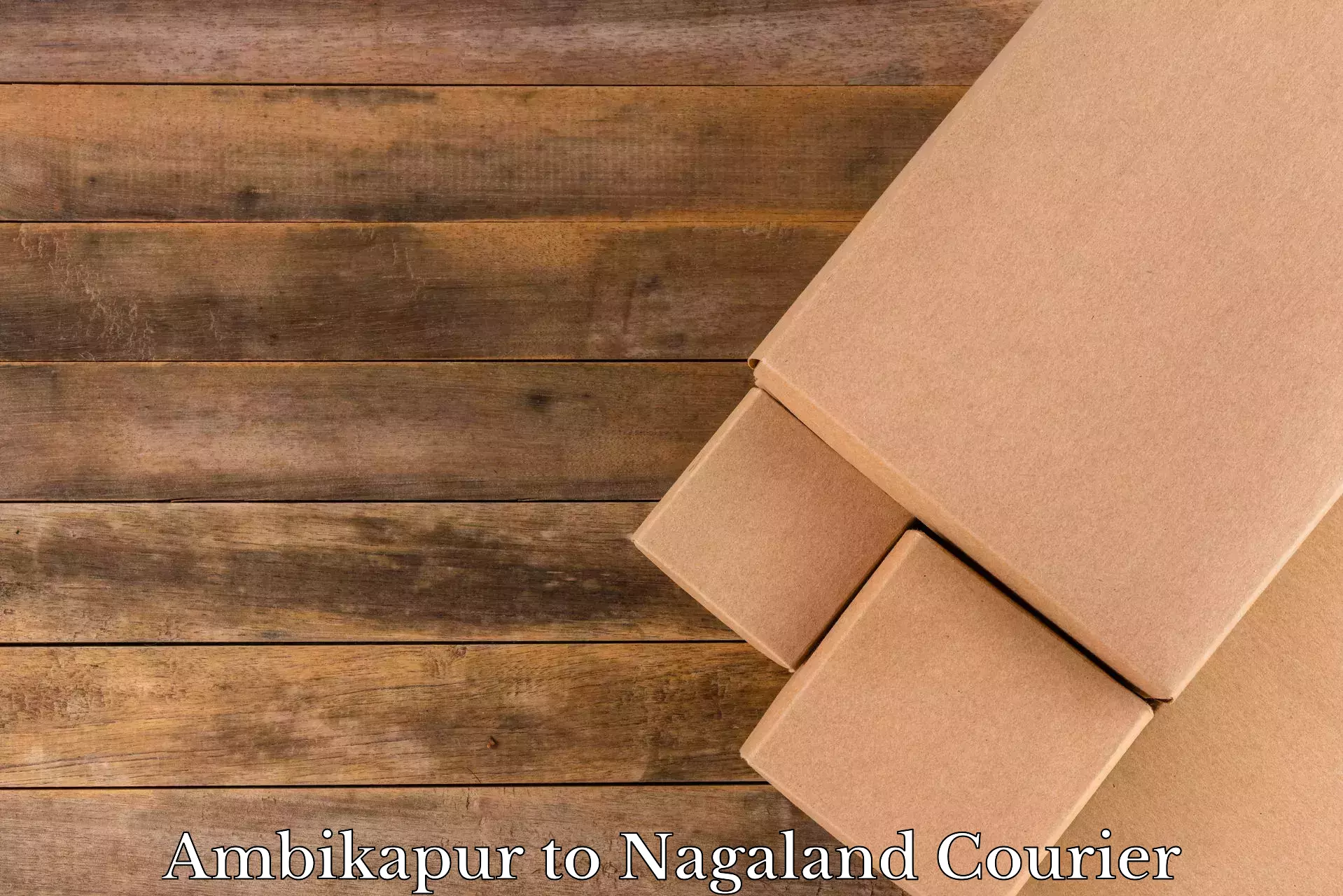 Household moving and storage Ambikapur to NIT Nagaland