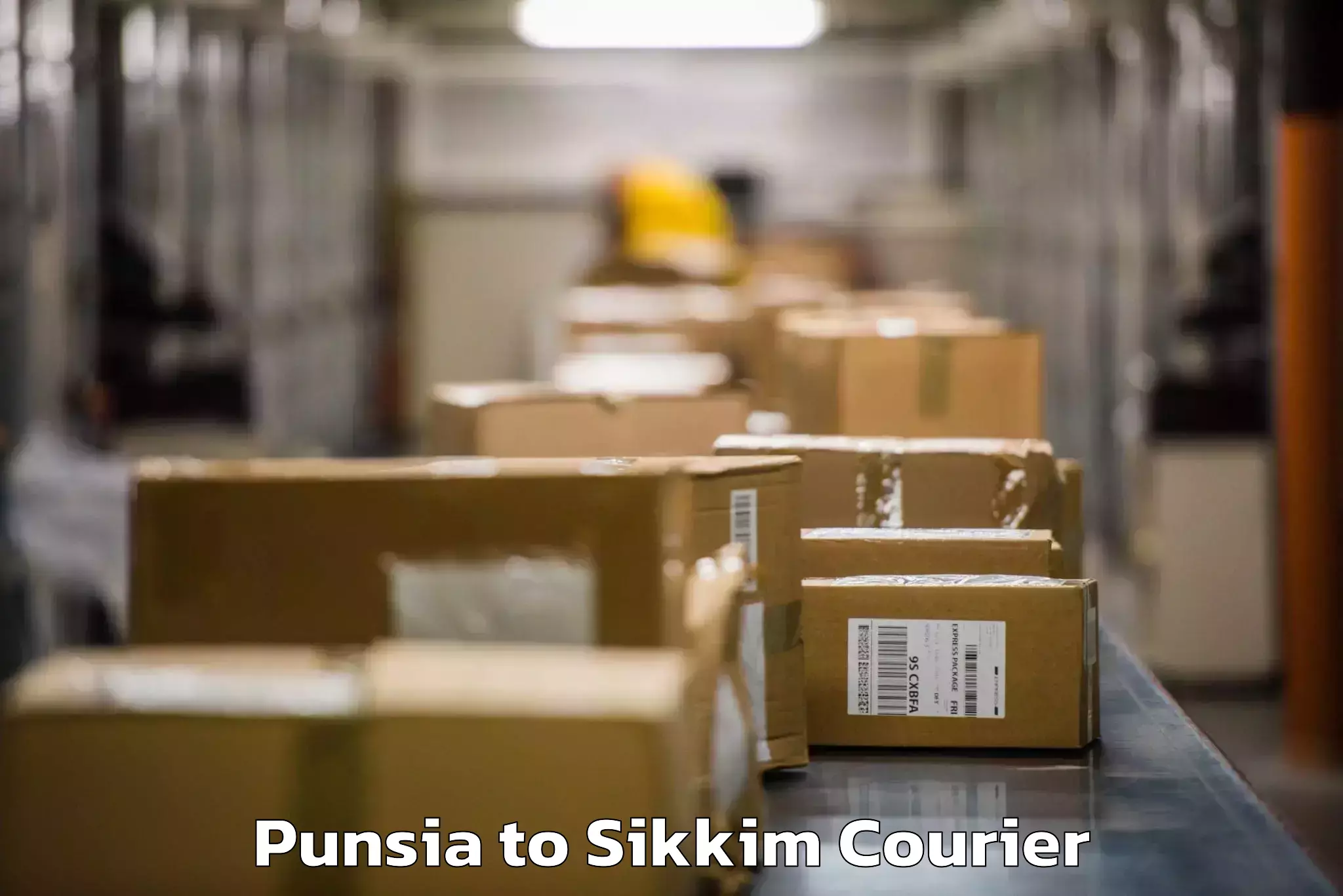 Door-to-door baggage service Punsia to Sikkim