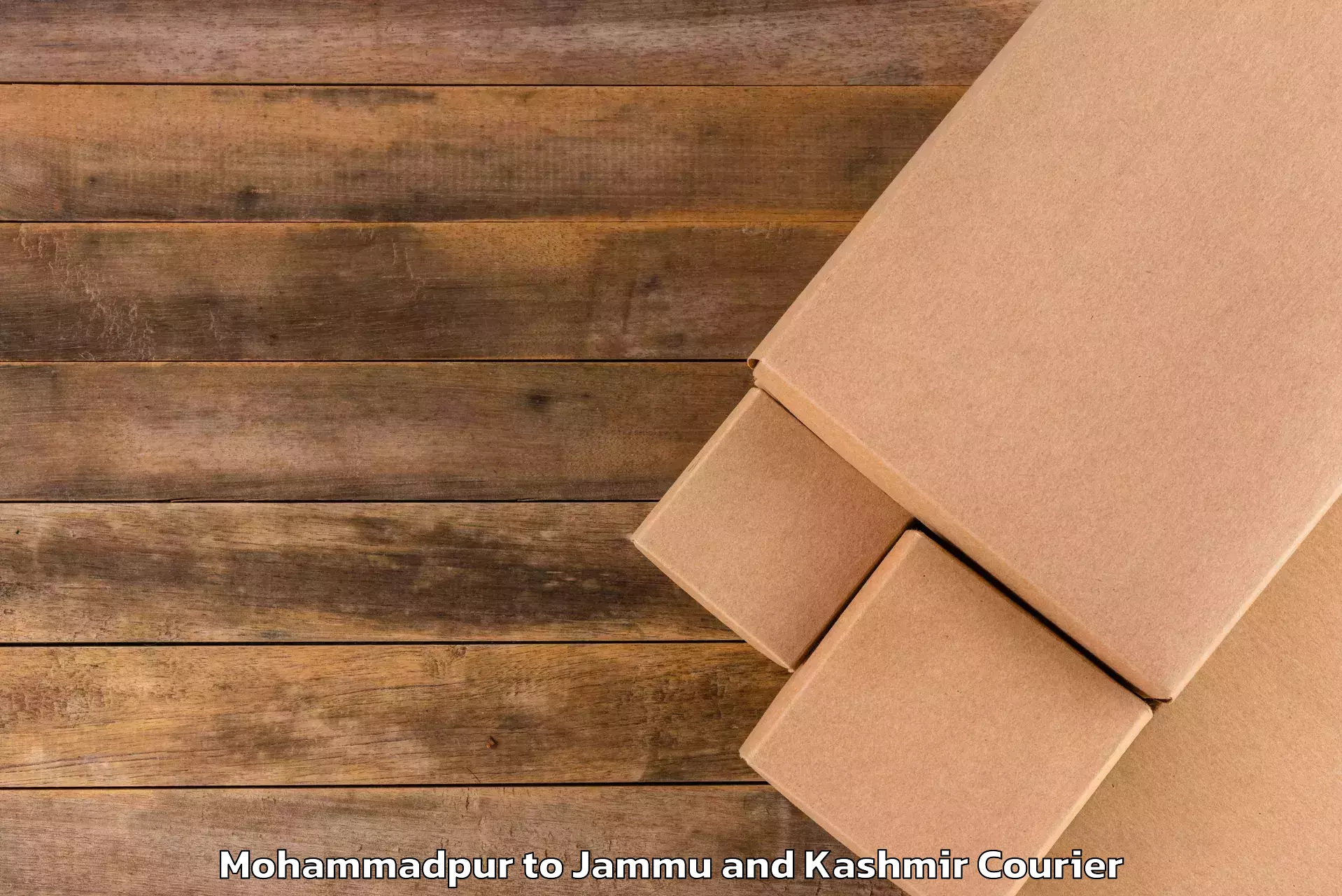 Luggage delivery network Mohammadpur to Jammu