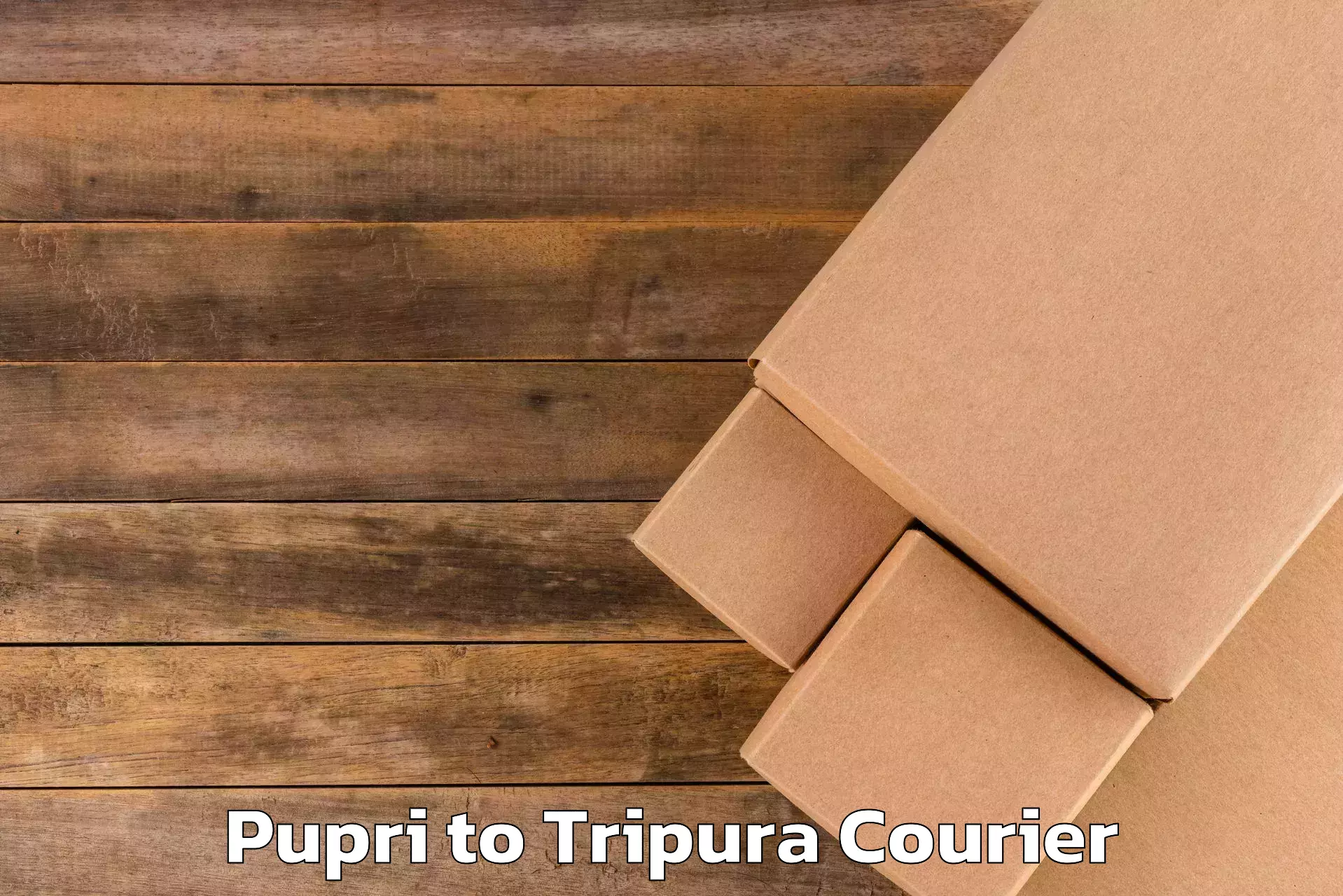 Overnight baggage shipping Pupri to South Tripura
