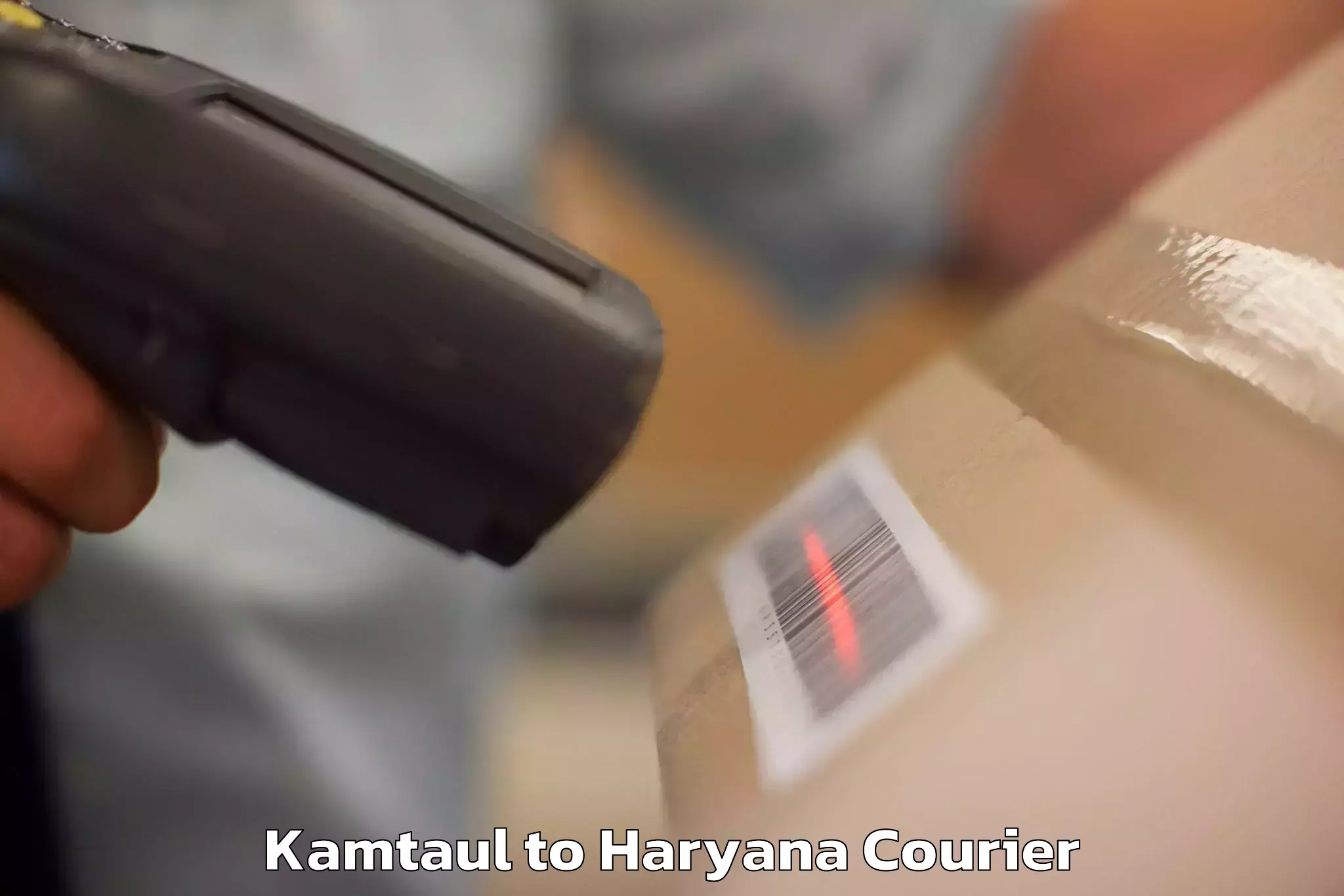 Baggage shipping experience Kamtaul to Haryana