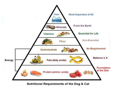 AddressingSpecificNeedsBasedonYourPet'sBreedandLifestyle