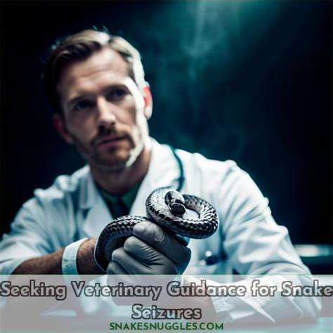 AddressingUnderlyingCausesandSeekingVeterinaryGuidance