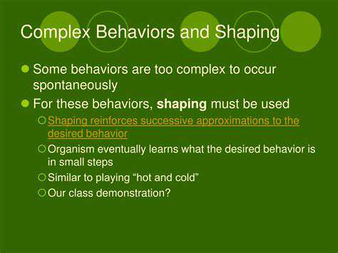 AdvancedObedience:ShapingComplexBehaviors