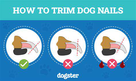 Trimming Your Dog's Nails Safely
