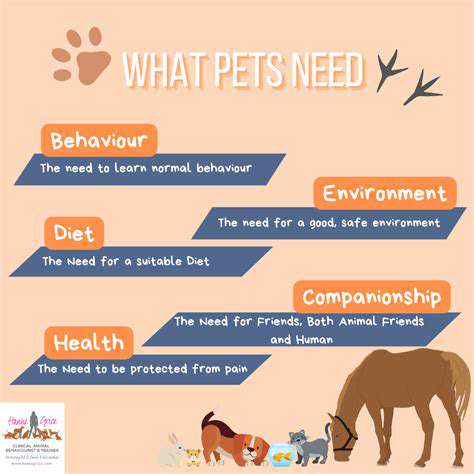 Choosing a Veterinarian: Key Questions to Ask