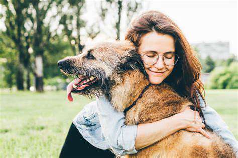 AssessingYourSeniorPet'sNeeds