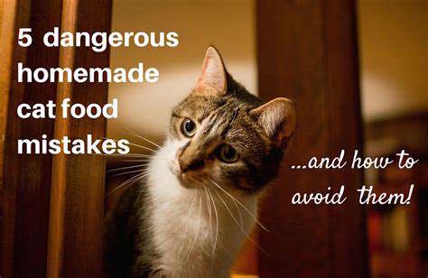 Homemade Cat Food Recipes for a Healthier Feline