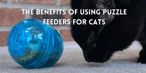 BenefitsofUsingPuzzleFeedersforTrainingandBonding