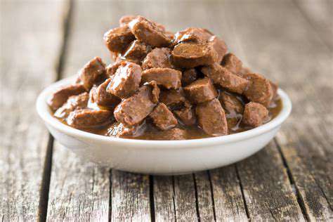 ChoosingWetDogFoodforHydration