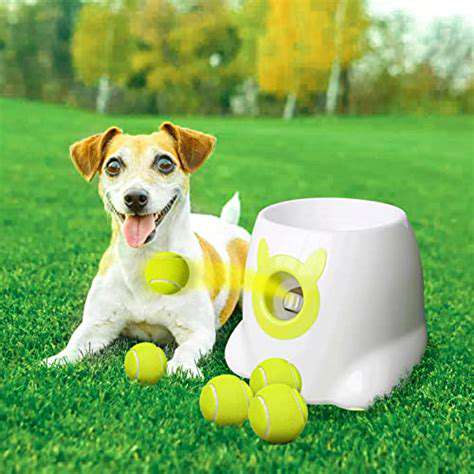 ChoosingtheRightAutomaticDogBallLauncherforYourPup
