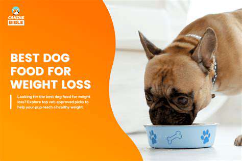 ChoosingtheRightDogFoodforWeightManagement