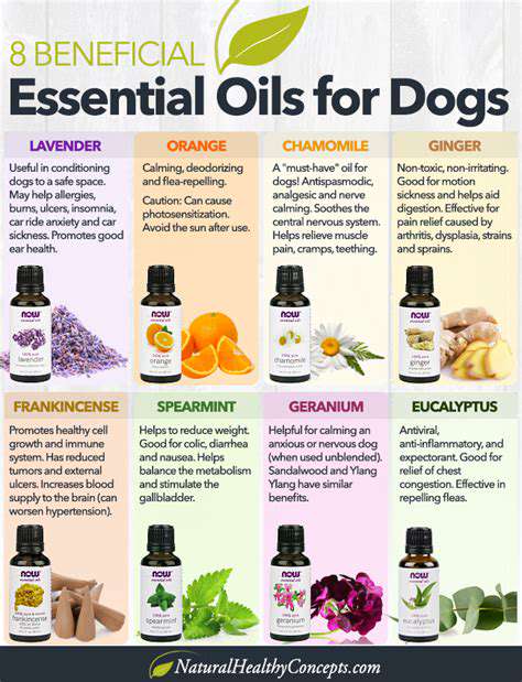 Pet Calming Diffusers: Reducing Stress