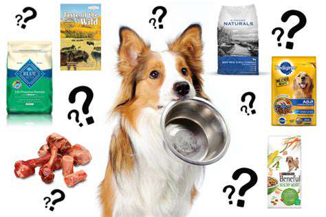 The Link Between Pet Diet and Energy Levels
