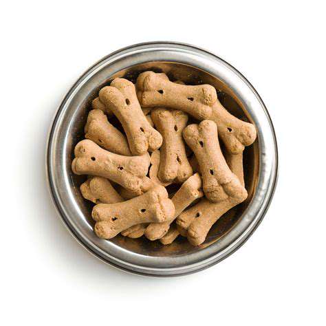 ChoosingtheRightIngredientsforYourPet'sTreats