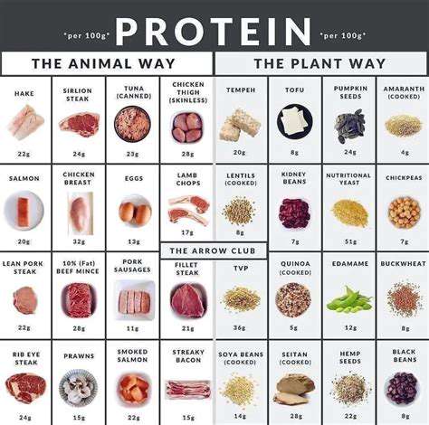 Protein in Pet Food: Essential for Growth and Repair