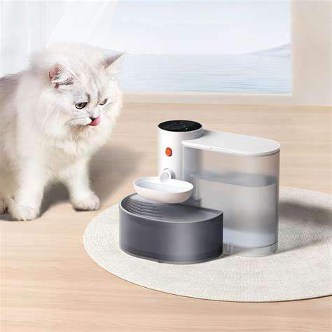 Smart Pet Water Fountains: Filtered Hydration