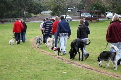 ConsofGroupDogTrainingClasses
