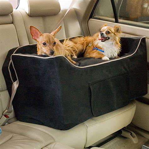 Dog Car Seats: Safety and Comfort