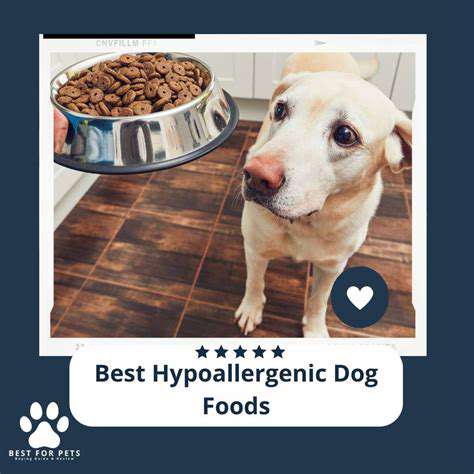 DifferentTypesofHypoallergenicDogFoodFormulas