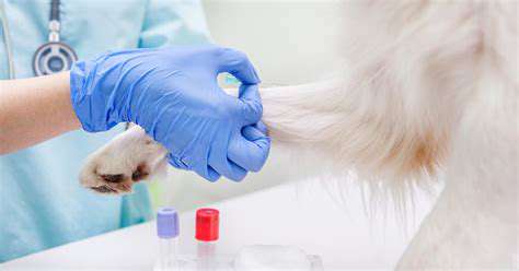 DifferentTypesofPetAllergyTests