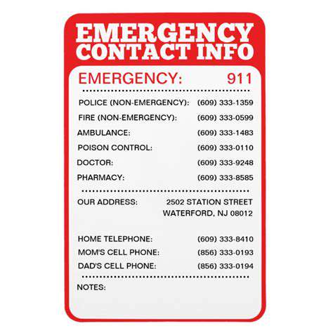 Pet First Aid Kits: What You Need to Know