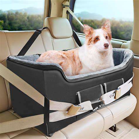 Pet Car Seats: Safe Travel for Your Dog