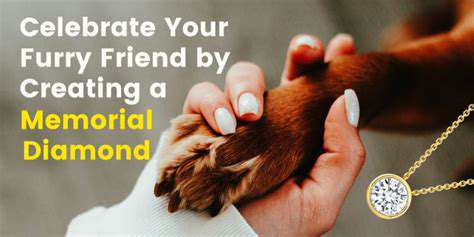 HonoringYourPet'sMemory:CreatingLastingMemorials