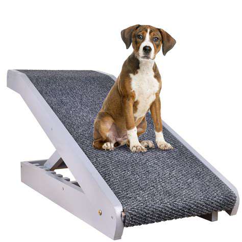 Pet Ramps and Stairs: Helping Senior Pets