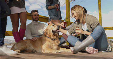 IntroducingOtherDogsandPeople:BuildingSocialConnections