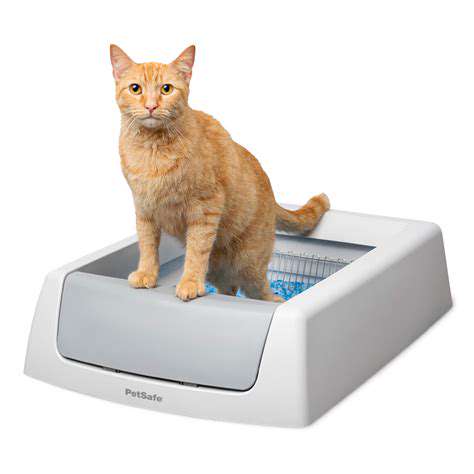 Self Cleaning Litter Boxes: Are They Worth It?