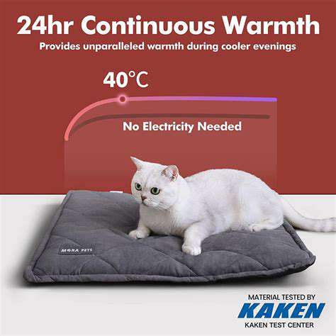 KeyConsiderationsWhenBuyingaSelf-WarmingPetBed