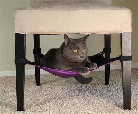 Cat Hammocks: Cozy Naps for Your Feline