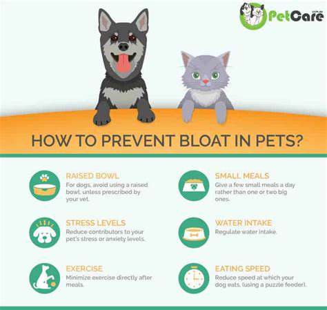 PreventingCanineBloat