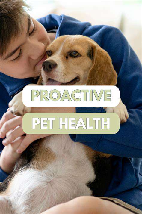 Cleaning Your Pet's Paws: Post Walk Routine