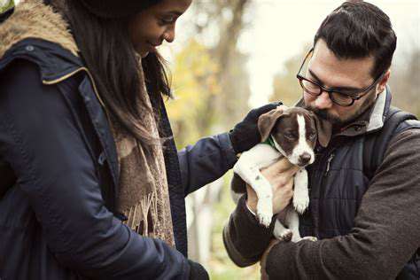 Microchipping Your Pet: Why It's Crucial