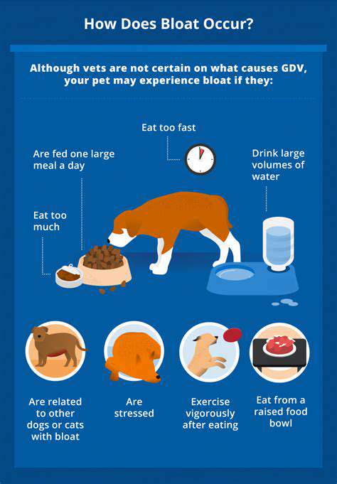 RecognizingtheSignsofCanineBloat