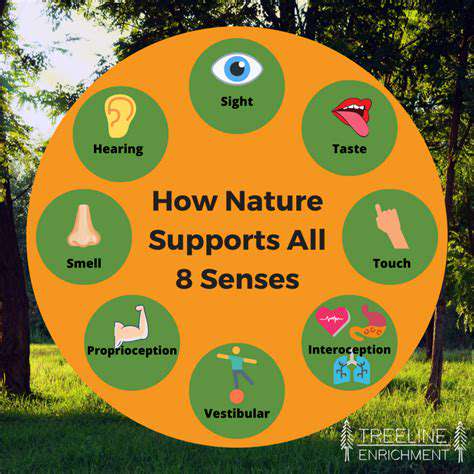 SensoryStimulation:ExploringtheWorldThroughDifferentSenses