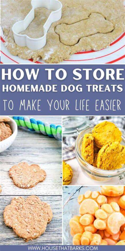 DIY Pet Treats: Healthy and Simple Recipes