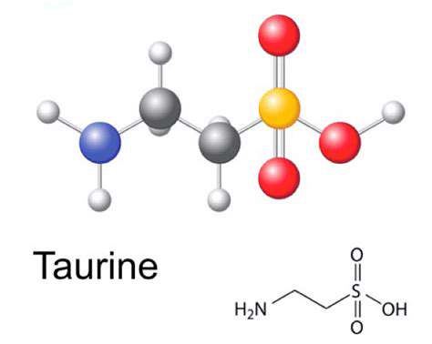 Taurine for Cats: Essential for Heart Health